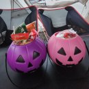 밀양표충오토캠핑장 | [경남 아이와 캠핑] 밀양표충오토캠핑장 채송화사이트