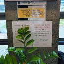 제주은희네해장국 의정부고산점 | 푸짐하고 든든한 한 끼 제주은희네 해장국 의정부고산점