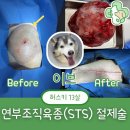 선부중앙동물의료센터 이미지