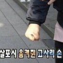 보홀 현지 발리카삭 투어 당일 아침 노쇼 후기....^^ 보홀 여행 마지막 날을 이렇게 힘들게 하다니요