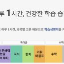 은솔초등학교 이미지