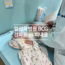 일산차병원 BCG접종 후기 (경피용, 피내용 비교)