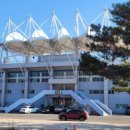 종합운동장 메타세콰이어길 이미지