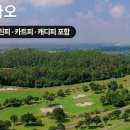 발리골프스타