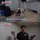 도그동물농장 이미지