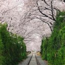 괴동로 | 포항 가볼만한곳 베스트10 추천 방문 후기 포함