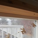 나무사이에 자연속으로 이미지