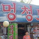 원조멍청도