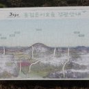 구좌공설묘지 이미지