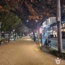 이공제비 및 군수이후범선영세불망비 | 대구 수성 갈만한곳 베스트10 여행 관광 명소 추천