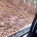 황우목장 이미지