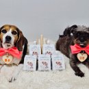 주식회사 장금이 농업회사법인 이미지