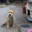 룰루랄라 이미지