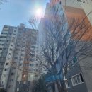 티엠세라믹 네이버블로그