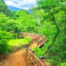 합천호둘레길 이미지