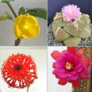 칠석농장 이미지