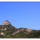 윤석농원 이미지