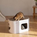 펫 아지트 이미지