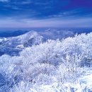 겨울이 이미지
