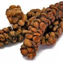 원두볶는 고양이 이미지