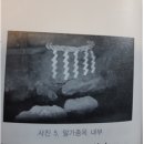 김광언 이미지