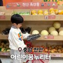 누리삼마을 | 아이랑 천안 가볼만한곳 어린이꿈누리터