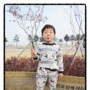 강변그린세탁 네이버블로그
