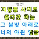 MR - 나뭇잎 사이로/조동진 이미지