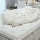 신혼 침대 매트리스 슬립퍼 시그니처 매트리스 프레스티지 라지킹 후기