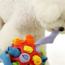 퀸즈동물병원 이미지