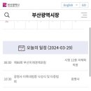 사직 홈개막식에 시구 유력해보이는 박형준 시장 이미지