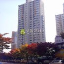 안산천남로 Daum카페
