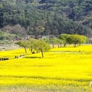 동이면 다목적회관 이미지