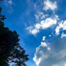 향-녹음의 계절 이미지