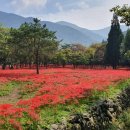 새진흥슈퍼 이미지