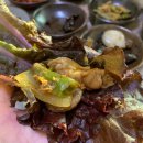 어곡공단2길 | 양상맛집 부산근교 애견동반식당 골샘정 추천 오리고기 먹고 왔어요(내돈내산)