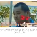 3살밖에 안 된 네덜란드 첫판다, 중국반환 후 번식장에서 생활… 이미지