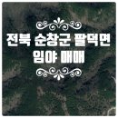 팔덕면사무소 이미지