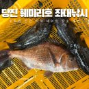 오산낚시터 | 서해 당진 좌대낚시 낚시터 훼미리호 서울 근교 이색 데이트 장소 추천