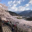 지리산 팔베개 네이버블로그