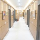 대전하늘의료소비자생활협동조합 하늘의원 이미지