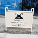 대전 월평동 원데이클래스 리윗독 : 강아지옷만들기 성공!