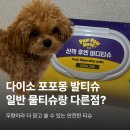 다이소 강아지 산책 물티슈 추천 무향이라 더 좋았던 깨끗한나라 포포몽 사용후기