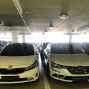 성원렌트카 이미지