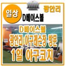 사하베이스볼아카데미