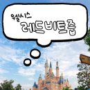 웰시스 이미지