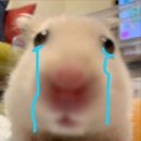 인덕원 삼성아파트 버스정류장 | 인덕원 아파트 7개 임장 후기(인덕원 센트럴 푸르지오, 인덕원 센트럴 자이 등)