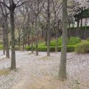 신탄진로 이미지