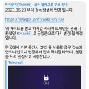 티비위키 접속 방법 (2023-06-23 <b>업데이트</b>) | 누누티비 대체 무료 스트리밍 사이트