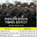 미군의 공무 중 손해를 입은 우리 국민은 미군 당국이나 미군 개인에게 손해배상청구를 못하는 이상한 SOFA 규정 이미지